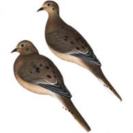 AvianX AXP Full Body Dove Decoys 6 pk. - AVX-DOVE-6PK AvianX AXP Full Body Dove Decoys 6 pk. - AVX-DOVE-6PK