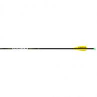 Easton X10 Parallel Pro Arrows 250 AAE Hybrid 26 vanes 6 pk. - 201334