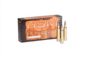 HSM Varmint 17 Hornet 20 gr V-Max 20 Rounds Ammo