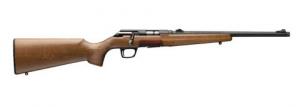Winchester Xpert Rimfire Rifle 22 lr 16.5 in. Black 10 Round Sporter Supressor - 525214102