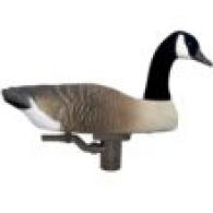 Higdon Motion Battleship Swimmer PRO Canada Goose