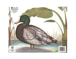 Maple Leaf NFAA Animal Faces Group 4 Duck - NFA-22 Maple Leaf NFAA Animal Faces Group 4 Duck - NFA-22