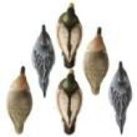 Late Season Puddle Pack Foam Drakes 2 Mallard 2 Pintails 2 GW