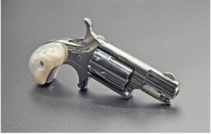MINI .22 LR REV 1-1/8" HP/PEARL - NAA-22LR-GV2