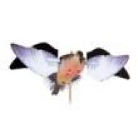 POWERFLIGHT DOVE REPLACEMENT WINGS POWERFLIGHT DOVE REPLACEMENT WINGS