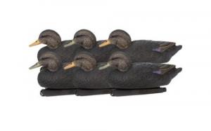 Zink Floater Duck Decoys Black Ducks 6 pk. - ZNK-ZNKDYBLK