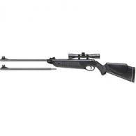 Beeman Black Cub DC Air Rifle Combo Dual Caliber - 1022 Beeman Black Cub DC Air Rifle Combo Dual Caliber - 1022
