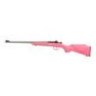 Crickett .22 LR Stnls Pink w/Gold Web Syn Stock