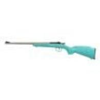 Crickett .22 LR Stnls Blue w/Gold Web Syn Stock Crickett .22 LR Stnls Blue w/Gold Web Syn Stock