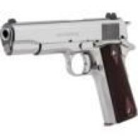 Colt Government Model .45 ACP 5in Brl Bright Stainless Colt Government Model .45 ACP 5in Brl Bright Stainless
