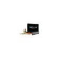 222 Remington 50gr Ballistic Tip SP Ammo (20ct)