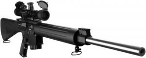 DPMS AR-10 .260 Remington Semi-Auto Rifle - RFLR260 DPMS AR-10 .260 Remington Semi-Auto Rifle - RFLR260