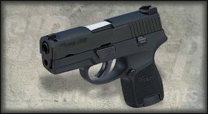 Sig Sauer P250 SubCmpct 45 ACP 3.6" 6+1 Changeabl - 250SC45BSS Sig Sauer P250 SubCmpct 45 ACP 3.6" 6+1 Changeabl - 250SC45BSS