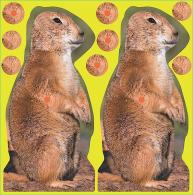 Birchwood Casey Shoot-N-C Reactive 12 8" Prairie Dog I - 34786