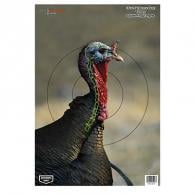 Birchwood Casey Pregame Animal Targets Turkey 12"x18"