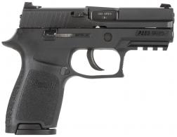Sig Sauer P250 Compact DAO 380ACP 3.9" 15+1 CS Poly Grip Blk Nitron - 250C380B Sig Sauer P250 Compact DAO 380ACP 3.9" 15+1 CS Poly Grip Blk Nitron - 250C380B