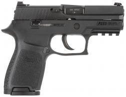 Sig Sauer P250 Compact DAO 380ACP 3.9" 15+1 NS Poly Grip Blk Nitron - 250C380BSS Sig Sauer P250 Compact DAO 380ACP 3.9" 15+1 NS Poly Grip Blk Nitron - 250C380BSS