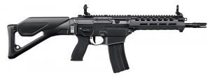 SIG .300 BLK  SEMI 10 30R - R556XI300B10CSBR