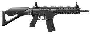SIG .300 BLK  SEMI 10 30R - R556XI300B10SSBR