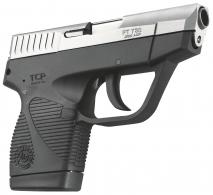 Taurus 738 TCP 380 WINGS Stainless - 1738039WGS