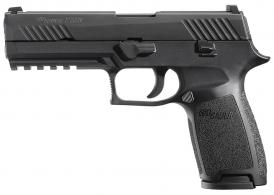 SIG 320 45 STRK 10R BLK