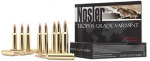 Nosler Trophy Grade .223 REM/5.56 NATO  55 GR E-Tip 20 Bx/ 10 Cs - 60028