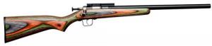 Crickett .22 LR  HB Camo MOB