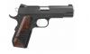 Dan Wesson Guardian 9mm (Image 2)