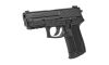 Sig Sauer SP2022 Carry 9mm Semi Auto Pistol (Image 3)