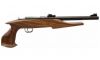 Chipmunk Hunter 22 Long Rifle Pistol (Image 3)