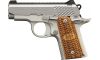 Kimber Micro Raptor Stainless 380 ACP Semi Auto Pistol (Image 2)