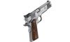 Springfield Armory 1911 Loaded Target 9mm Pistol (Image 3)