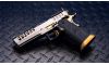 Watchtower Demolitia Limited Edition Elite Package 9mm Semi Auto Pistol (Image 3)