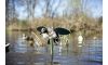 Mojo Outdoors HW8101 Teal Decoy Greenwing Drake Species Multi Color Synthetic (Image 2)