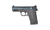 Smith & Wesson M&P Shield EZ380 .380acp Typhoon Cerakote 8+1 (Image 4)