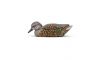 Rig Em Right Mainline Series Green-Winged Teal Duck Decoy 12/ct (Image 4)