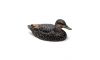 Rig Em Right Mainline Series Black Duck Decoy 6/ct (Image 4)