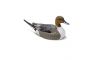 Rig Em Right Mainline Series Pintail Duck Decoy 6/ct (Image 3)