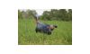 Higdon Flex Turkey Decoy Upright Tom Silhouette (Image 2)
