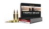 Nosler Trophy Grade Long Range Ballistic Tip 378 Weatherby Ammo 210 gr 20 Round Box (Image 2)